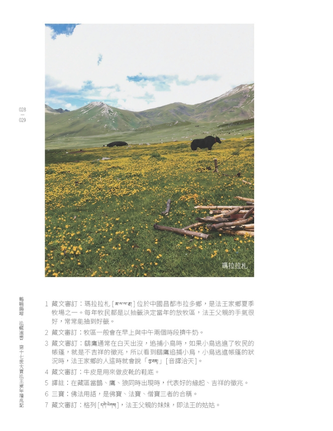 第十七世大寶法王童年瑞兆記